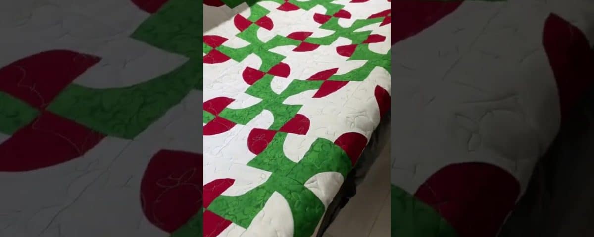 Susan’s “Drunk Cactus” quilt - Longarm quilted by Maynard Longarm Quilting