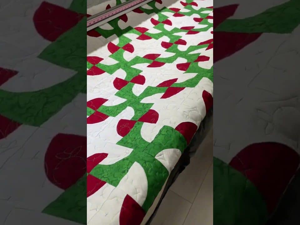 Susan’s “Drunk Cactus” quilt - Longarm quilted by Maynard Longarm Quilting