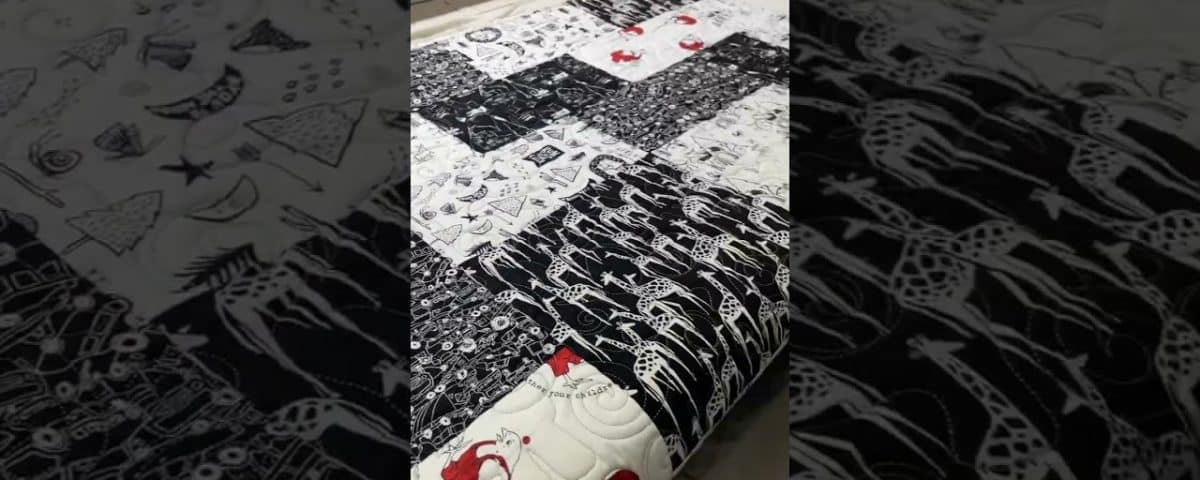 Ann’s “Minky Baby” quilt - Longarm quilted by Maynard Longarm Quilting