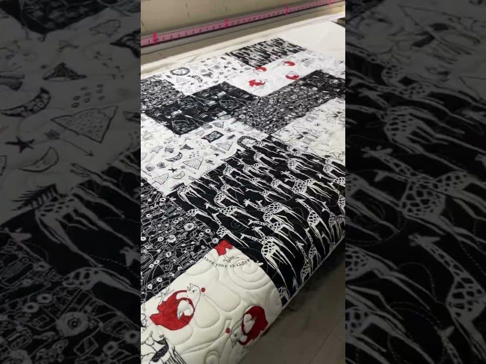 Ann’s “Minky Baby” quilt - Longarm quilted by Maynard Longarm Quilting