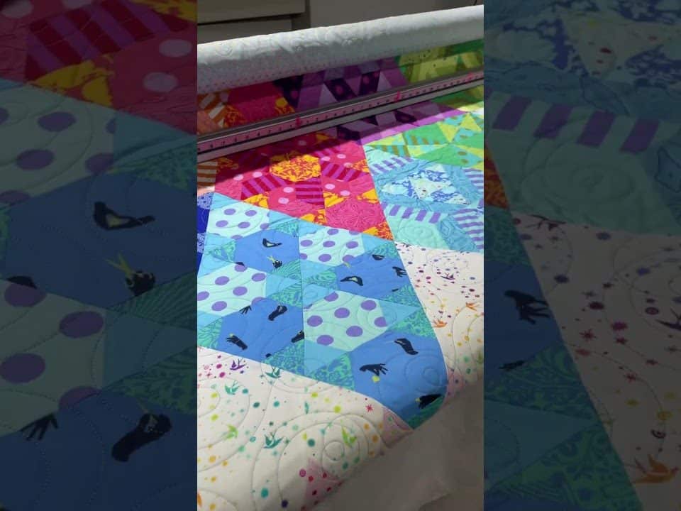 Carol’s “Nebula with Tula Pink fabrics” - Longarm quilted by Maynard Longarm Quilting