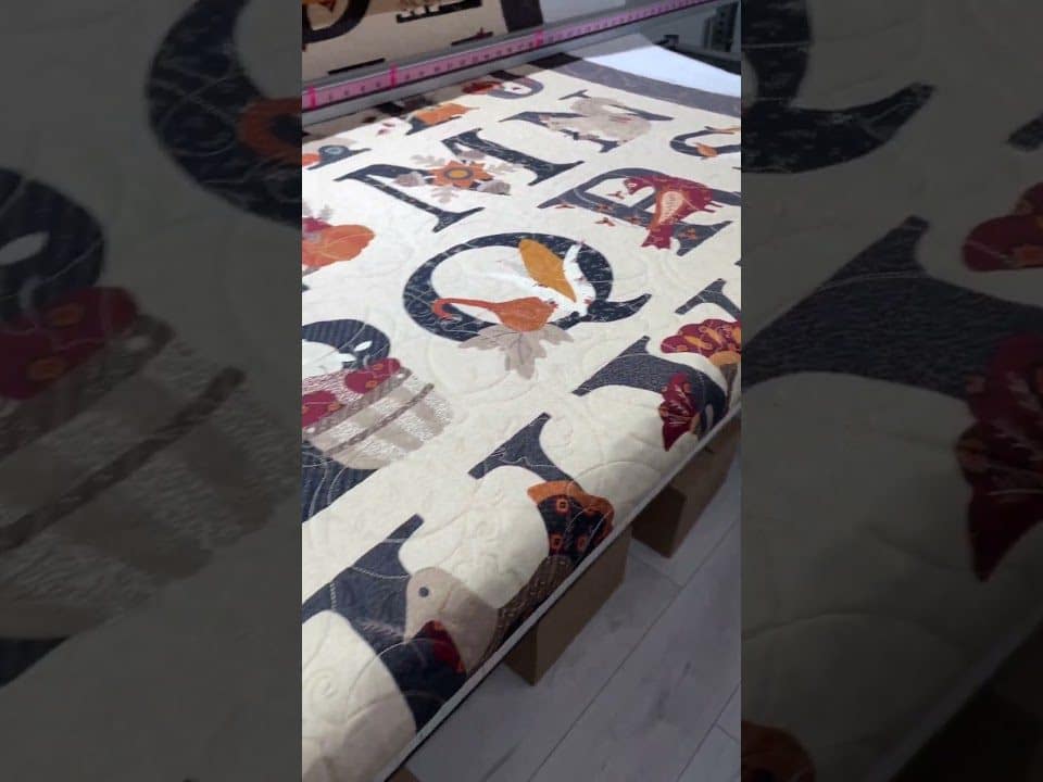 Donna’s “Alphabet” quilt - Longarm quilted by Maynard Longarm Quilting