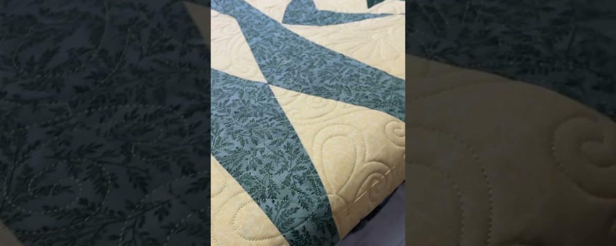 Joan’s “Star” quilt - Longarm quilted by Maynard Longarm Quilting