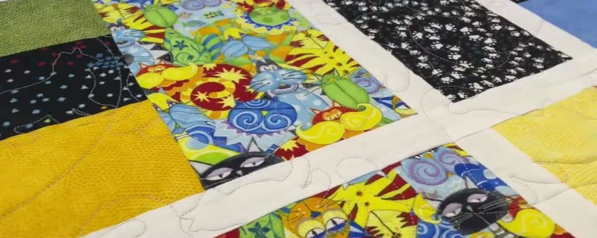 Barb’s “Crazy Cat” quilt - Longarm quilted by Maynard Longarm Quilting