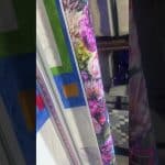 Susan’s “Birdy” Quilt - Longarm quilted by Maynard Longarm Quilting