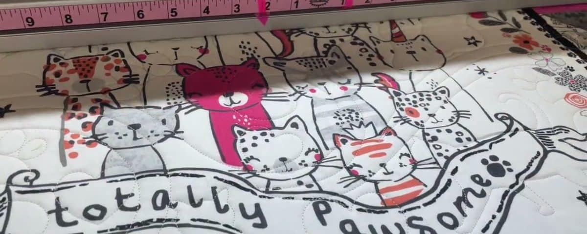Barb’s “Totally Pawsome” quilt - Longarm quilted by Maynard Longarm Quilting