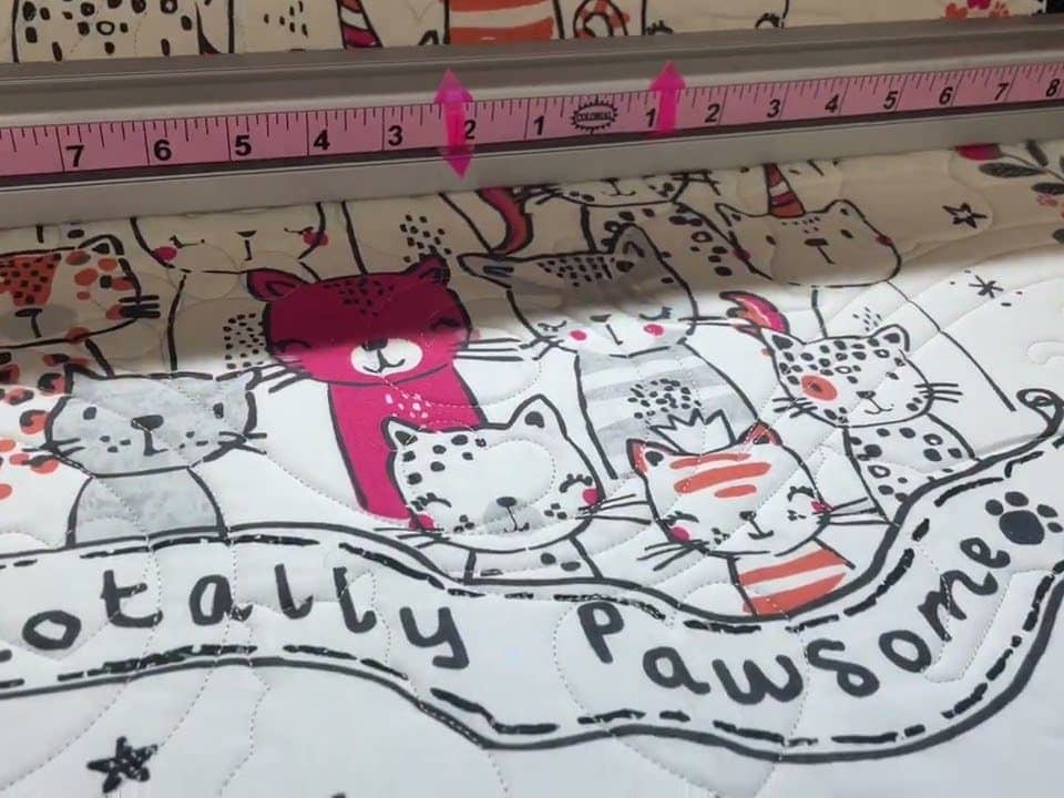 Barb’s “Totally Pawsome” quilt - Longarm quilted by Maynard Longarm Quilting