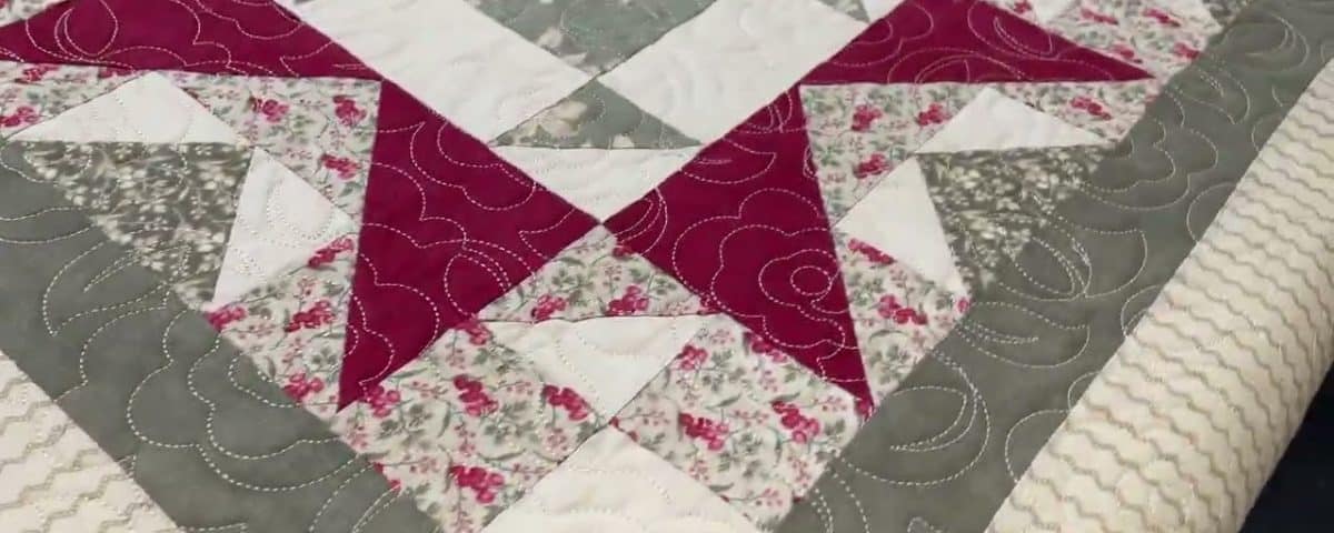 Leslie’s “8-month BOM” quilt - Longarm quilted by Maynard Longarm Quilting