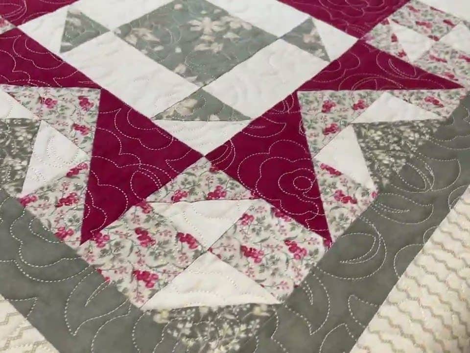 Leslie’s “8-month BOM” quilt - Longarm quilted by Maynard Longarm Quilting