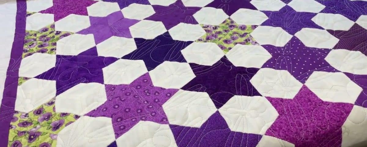 Cathie’s “Possessed Stars” quilt - Longarm quilted by Maynard Longarm Quilting